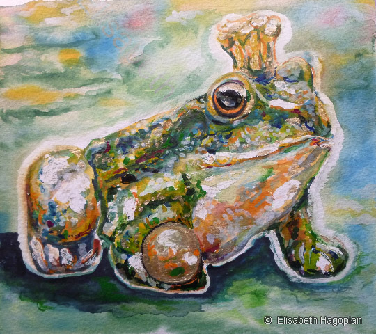 Günter B. Kastenfrosch, 17X24, 2010