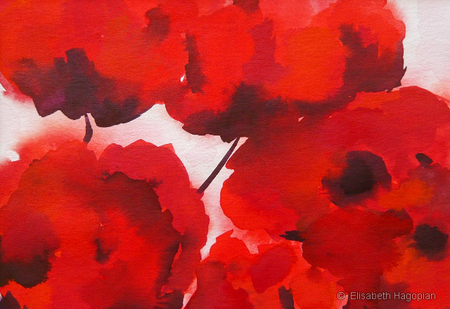 Big Red Poppies, Aquarell, 2010