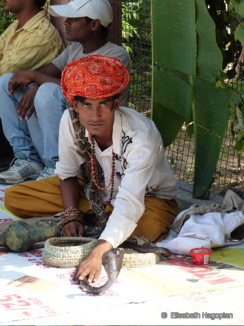 Indien 2011