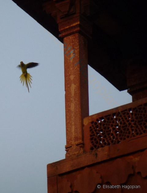 Indien 2011